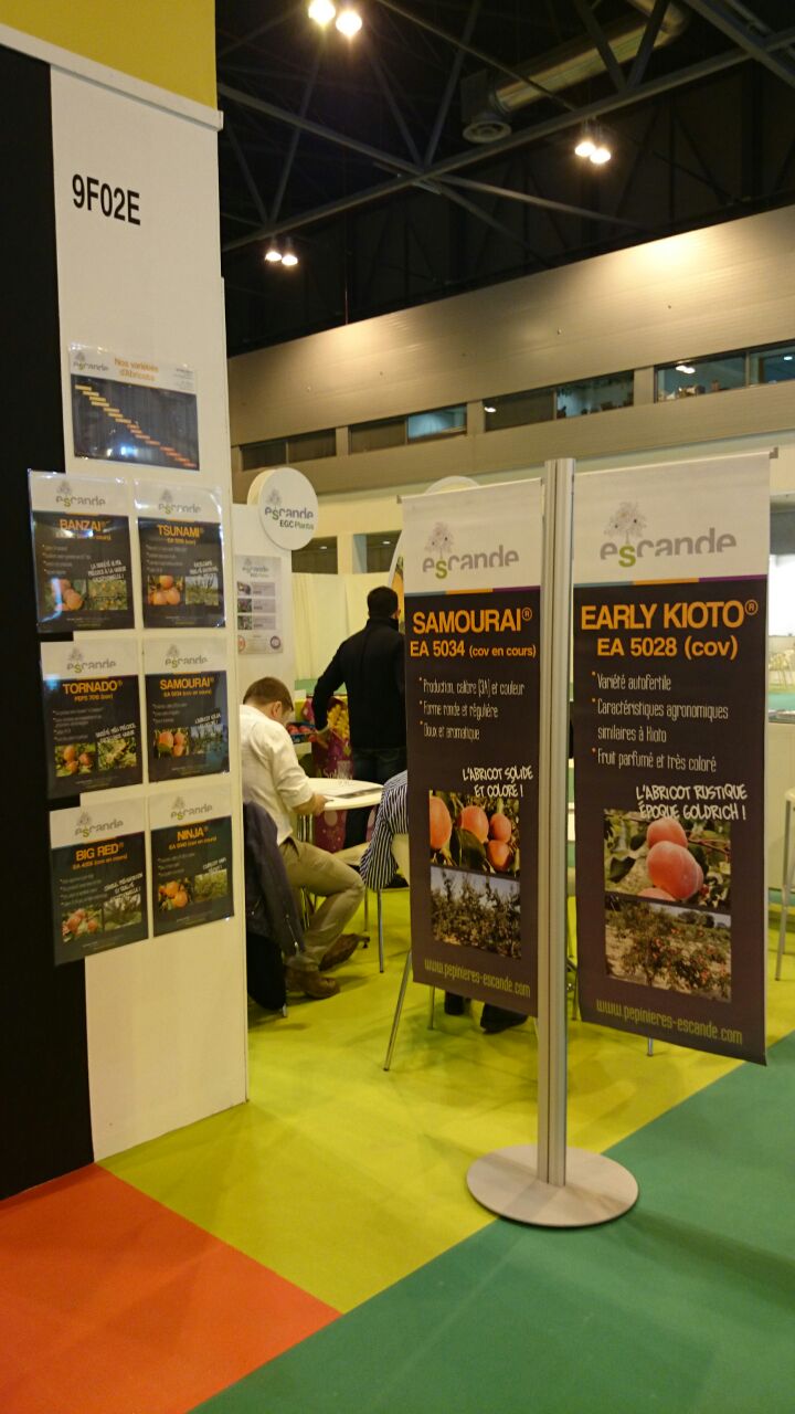 Fruit attraction 2014 2