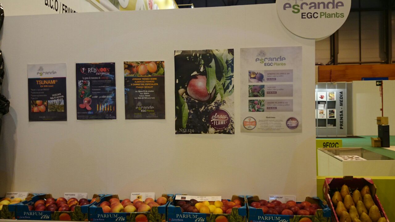Fruit attraction 2014 4